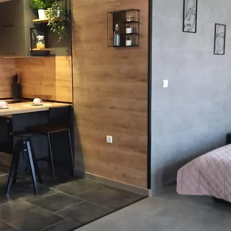 Apartment Vinica