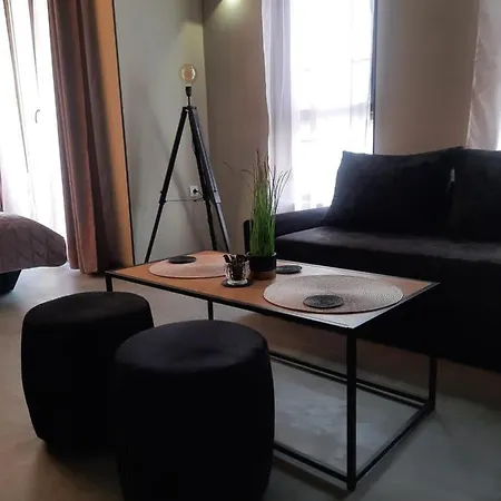 Apartment Vinica